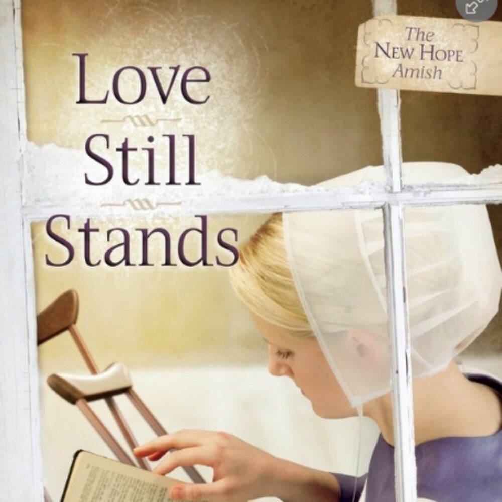 Love Still Stands (Volume 1) (The New Hope Amish) Paperback
